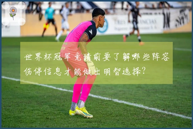 世界杯冠军竞猜前要了解哪些阵容伤停信息才能做出明智选择？