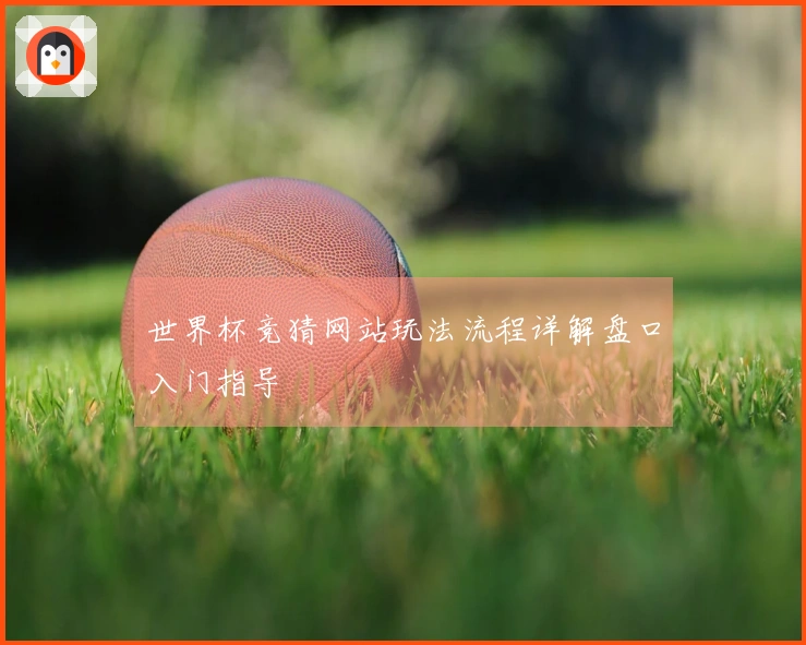 世界杯竞猜网站玩法流程详解盘口入门指导