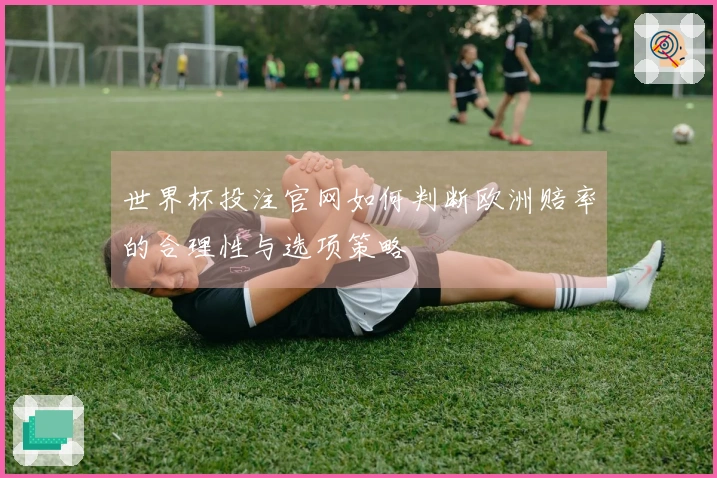 世界杯投注官网如何判断欧洲赔率的合理性与选项策略