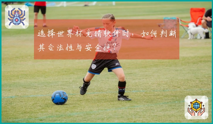 选择世界杯竞猜软件时，如何判断其合法性与安全性？