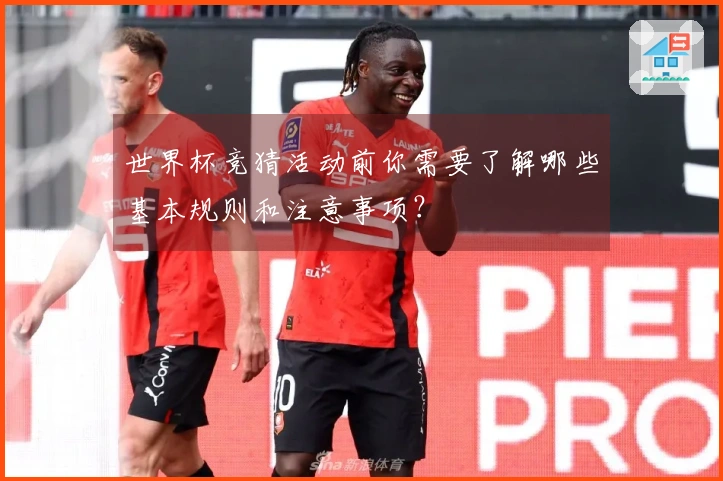 世界杯竞猜活动前你需要了解哪些基本规则和注意事项？