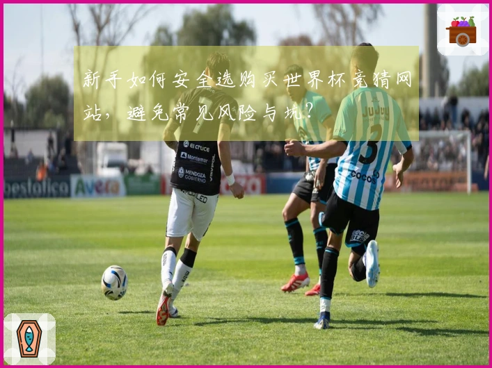 新手如何安全选购买世界杯竞猜网站，避免常见风险与坑？