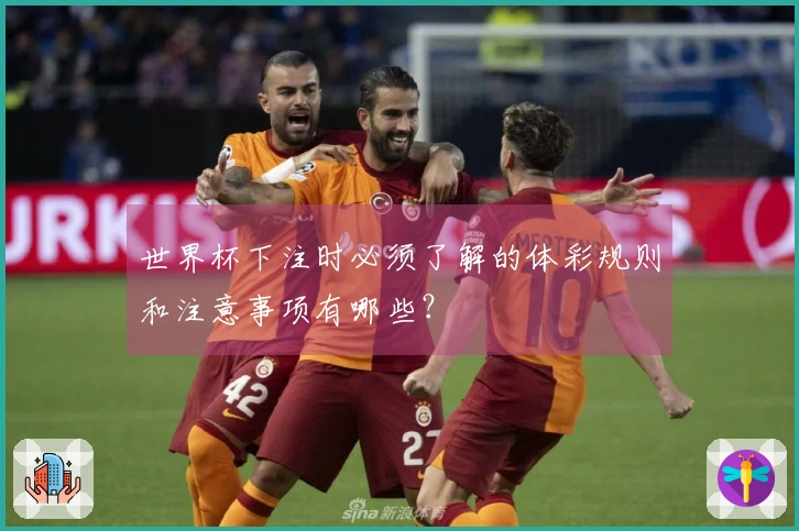 世界杯下注时必须了解的体彩规则和注意事项有哪些？