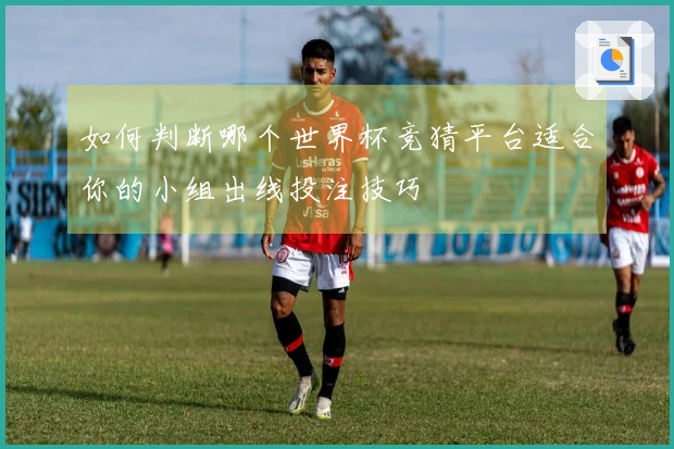 如何判断哪个世界杯竞猜平台适合你的小组出线投注技巧