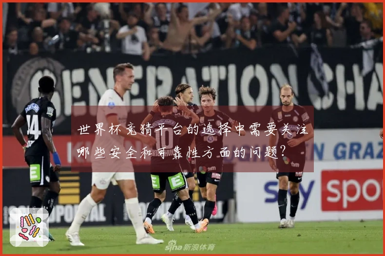 世界杯竞猜平台的选择中需要关注哪些安全和可靠性方面的问题？