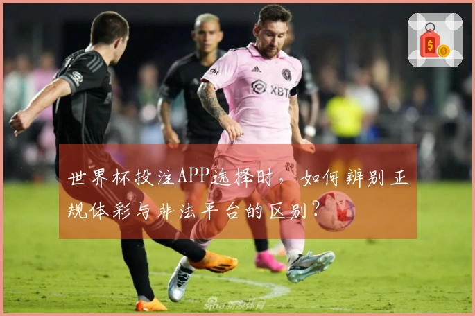 世界杯投注APP选择时，如何辨别正规体彩与非法平台的区别？