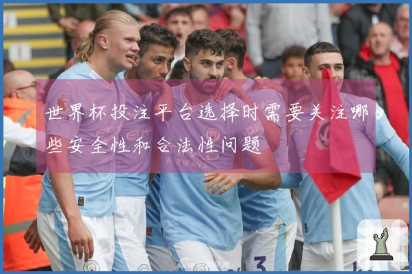 世界杯投注平台选择时需要关注哪些安全性和合法性问题