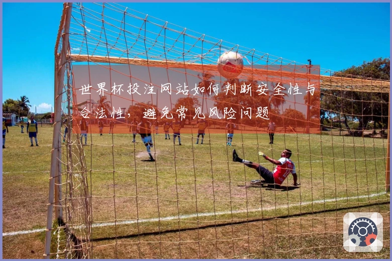 世界杯投注网站如何判断安全性与合法性，避免常见风险问题