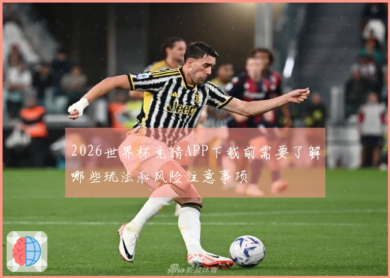 2026世界杯竞猜APP下载前需要了解哪些玩法和风险注意事项