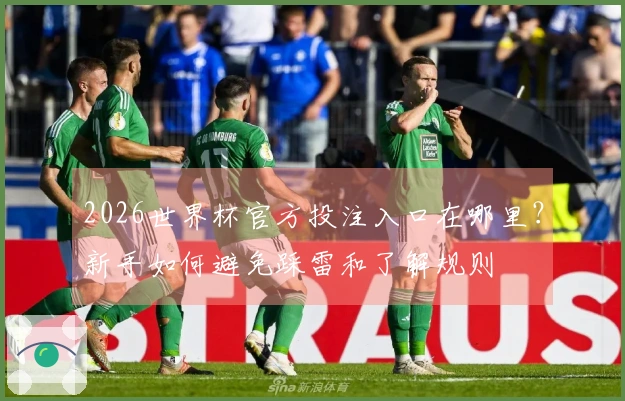 2026世界杯官方投注入口在哪里？新手如何避免踩雷和了解规则