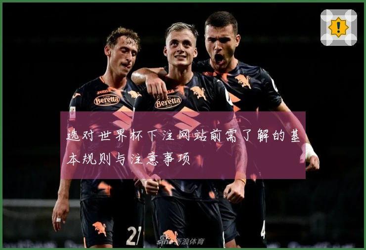 选对世界杯下注网站前需了解的基本规则与注意事项