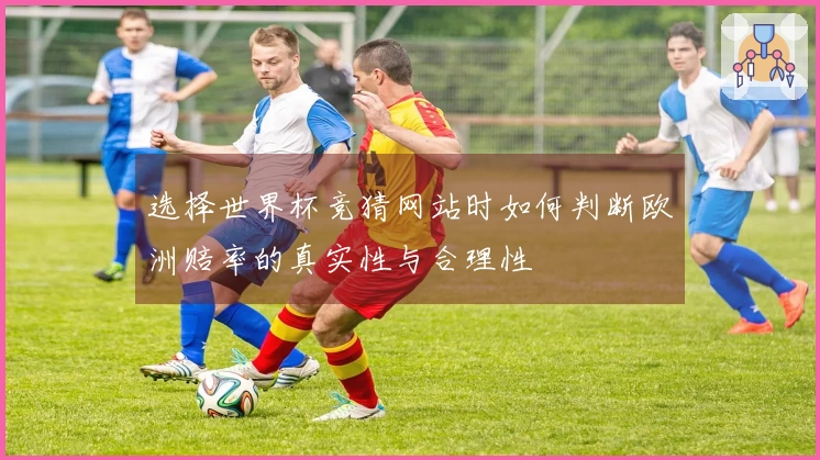 选择世界杯竞猜网站时如何判断欧洲赔率的真实性与合理性