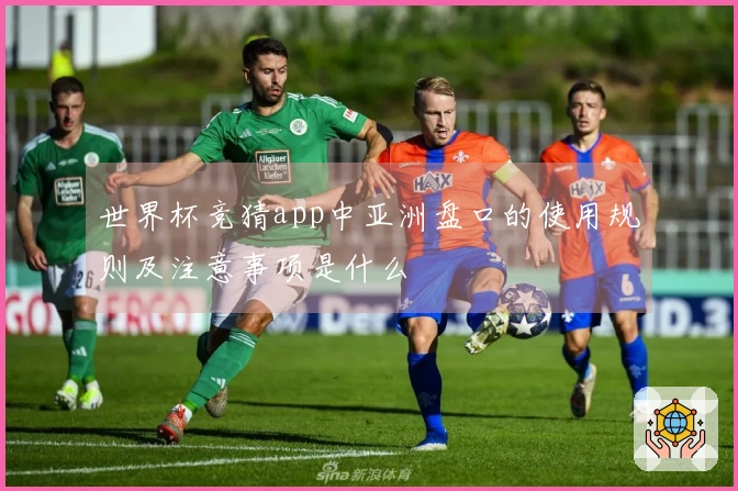 世界杯竞猜app中亚洲盘口的使用规则及注意事项是什么