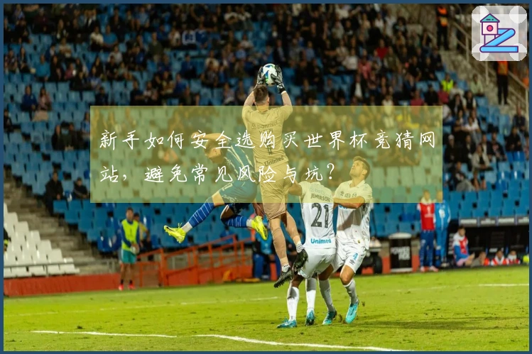 新手如何安全选购买世界杯竞猜网站，避免常见风险与坑？