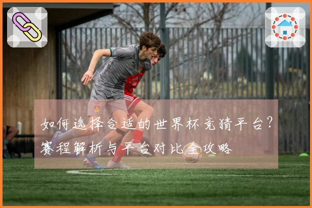 如何选择合适的世界杯竞猜平台？赛程解析与平台对比全攻略