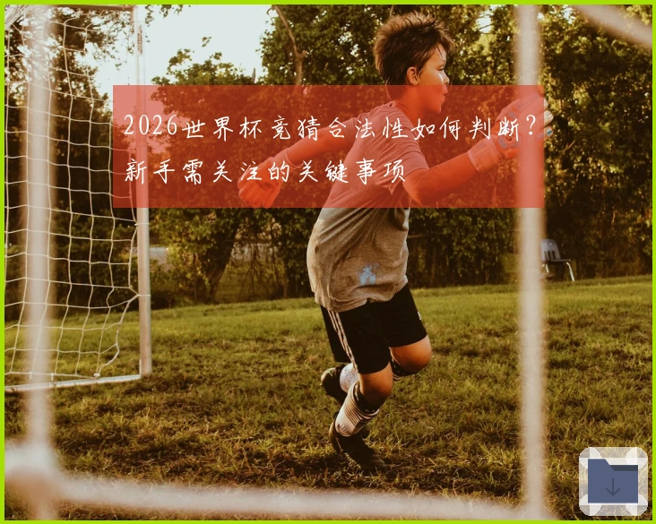 2026世界杯竞猜合法性如何判断？新手需关注的关键事项