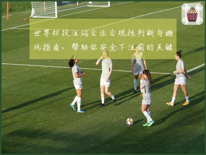 世界杯投注站合法合规性判断与避坑指南，帮助你安全下注前的关键注意事项