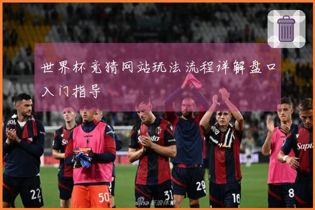 世界杯竞猜网站玩法流程详解盘口入门指导