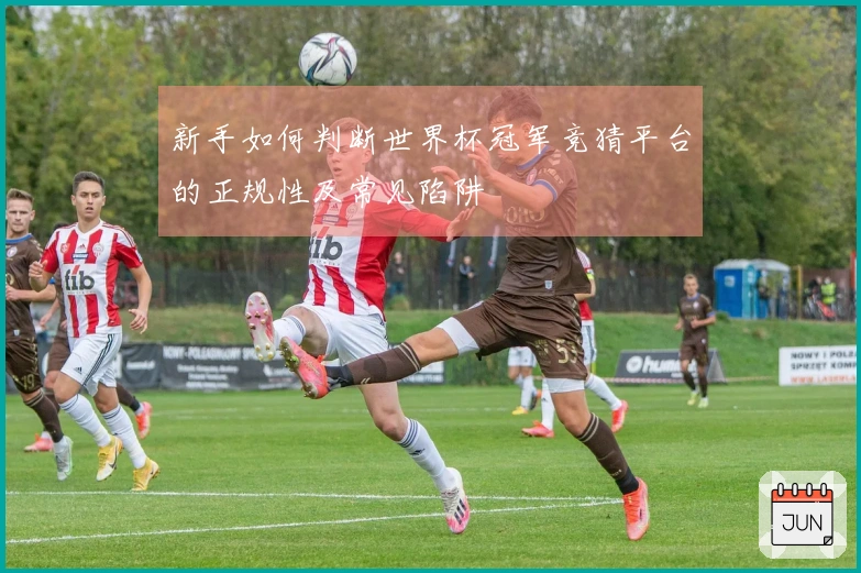 新手如何判断世界杯冠军竞猜平台的正规性及常见陷阱